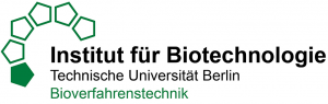 Logo Bioverfahrenstechnik, Institut für Biotechnologie, TU Berlin