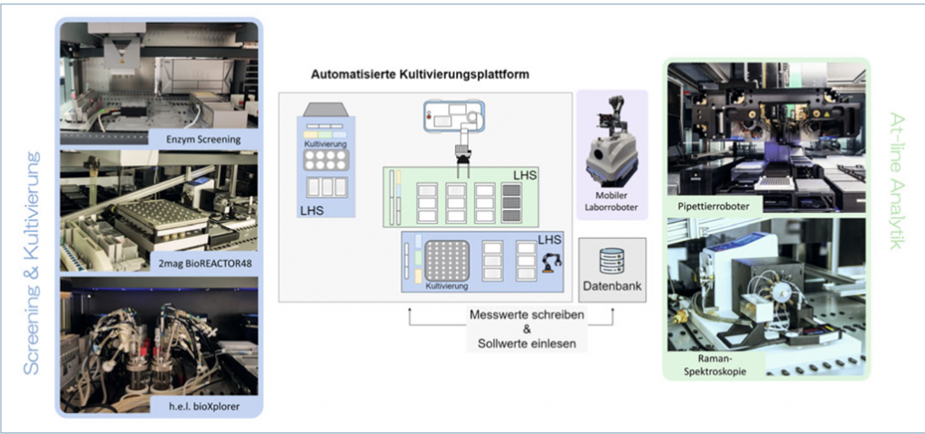 Hochdurchsatz-Strategien für modellbasierte Bioprozessentwicklung